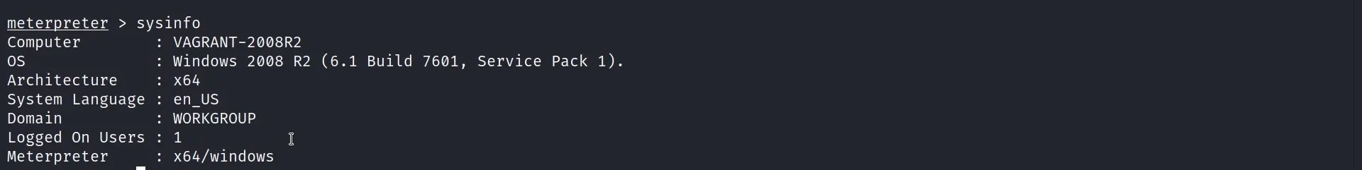Meterpreter sysinfo