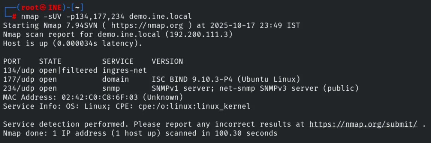 UDP service detection