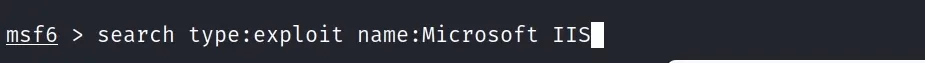 Searching IIS exploits