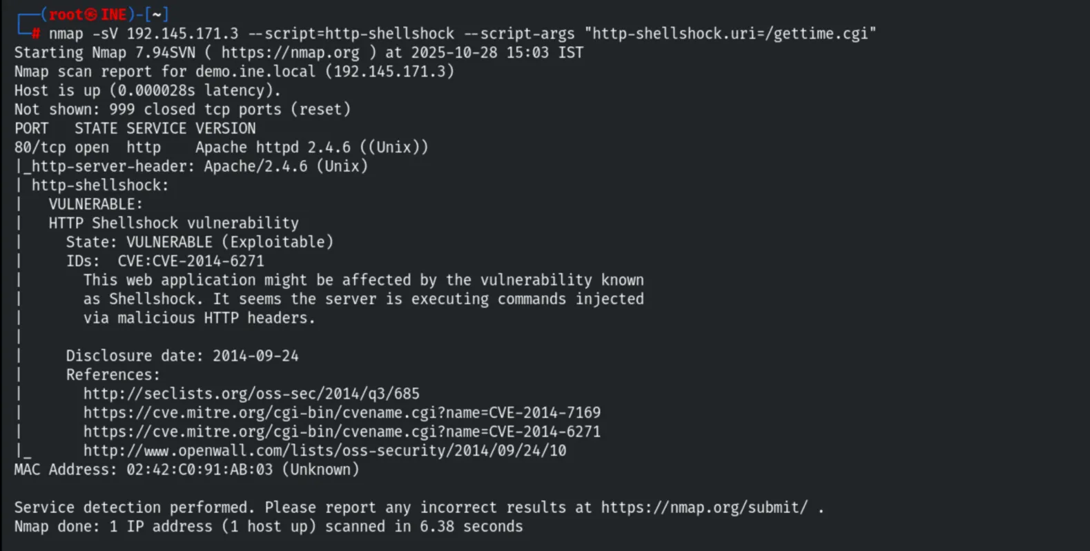 http-shellshock - target is vulnerable