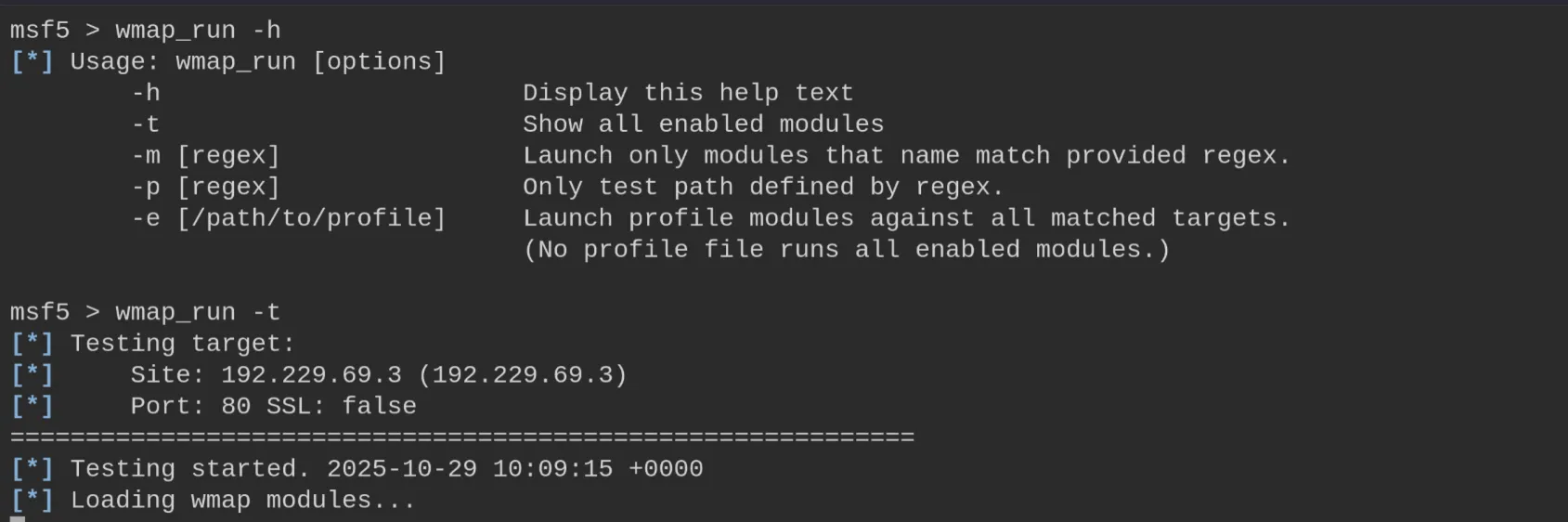 wmap_run -t - testing target