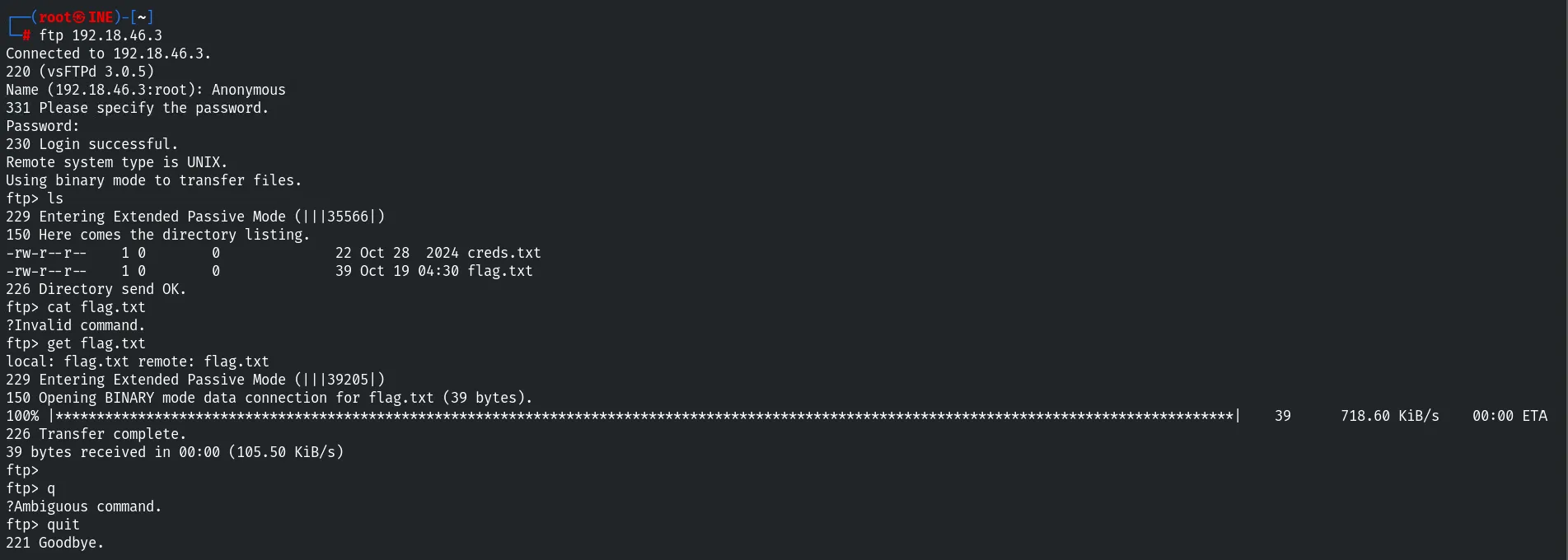 Anonymous FTP file download