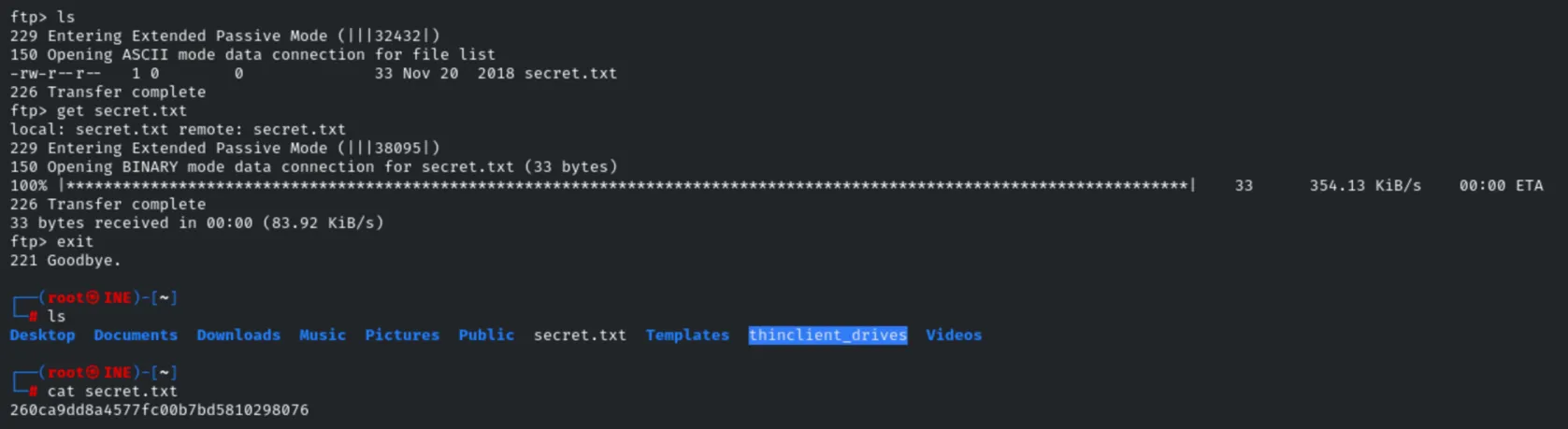 Listing and downloading secret.txt