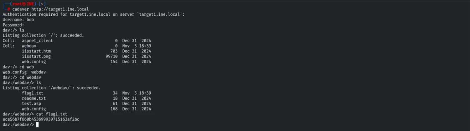 Cadaver tool and Flag 1