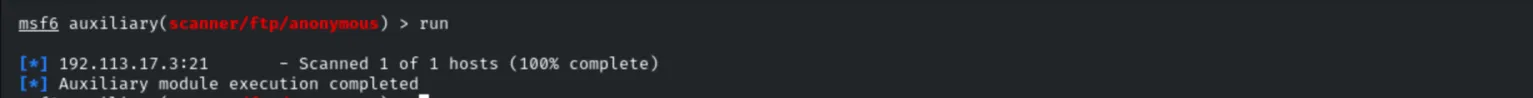 ftp anonymous module execution